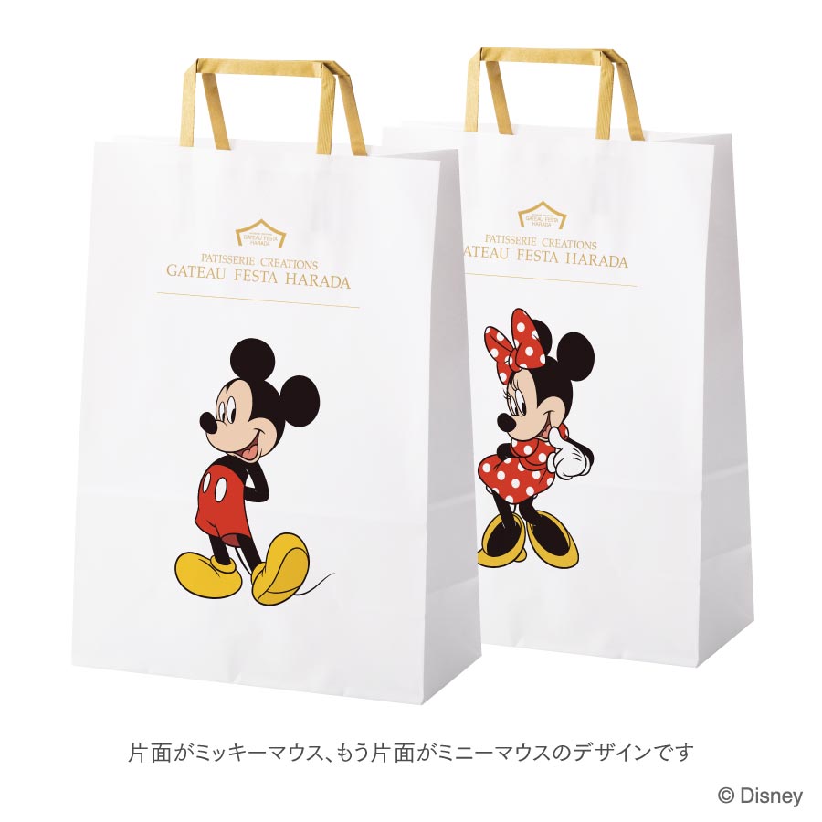 専用手提げ中