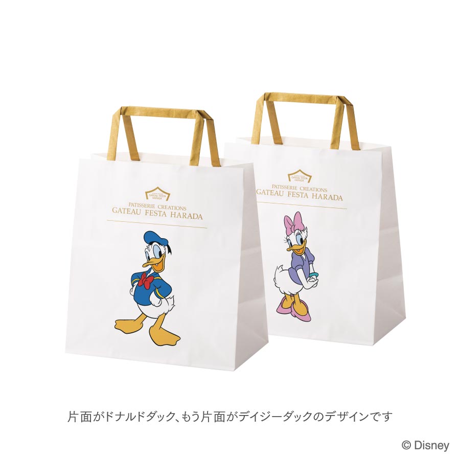 R9D3/R9D4専用手提げ