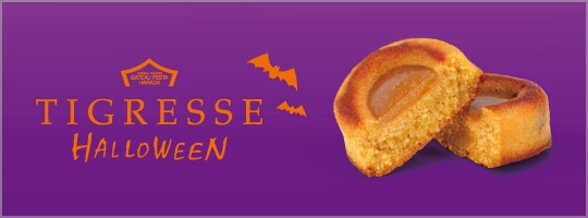 ティグレス ハロウィン1